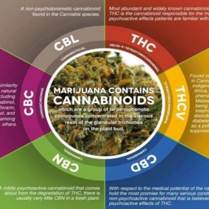 CANNABINOIDS